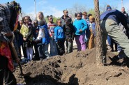 Brown Street Academy renamed ‘green’ for Arbor Day
