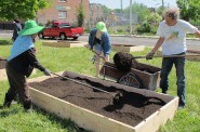 Victory Garden Initiative aims to make city ‘harvestable’
